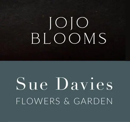 Sue Davies & Jo Jo Blooms logo